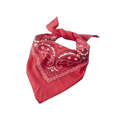 Cowboy Sheriff Halloween Costume