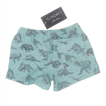 Sunday & Co. Jurassic Dinosaur Swim Trunks