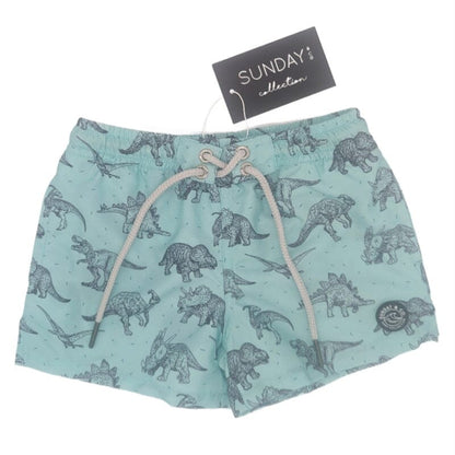Sunday & Co. Jurassic Dinosaur Swim Trunks