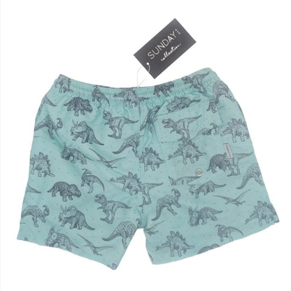 Sunday & Co. Jurassic Dinosaur Swim Trunks