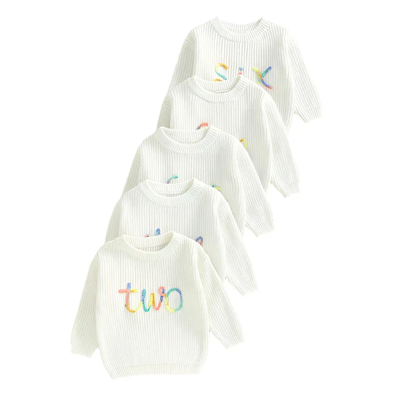 Birthday Rainbow Embroidery Toddler Sweater