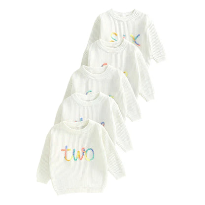 Birthday Rainbow Embroidery Toddler Sweater